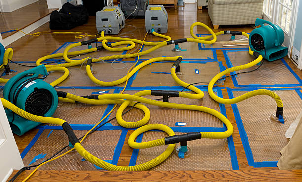 Professional Water Damage Repair technician working in Campbellsburg, KY